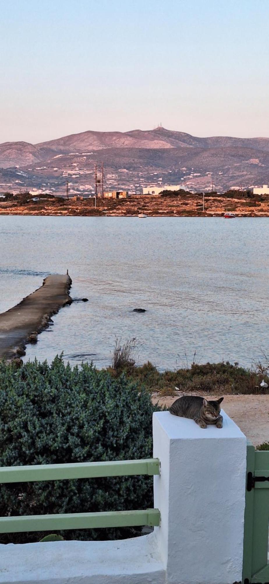 Mike'Splace Antiparos Exterior foto